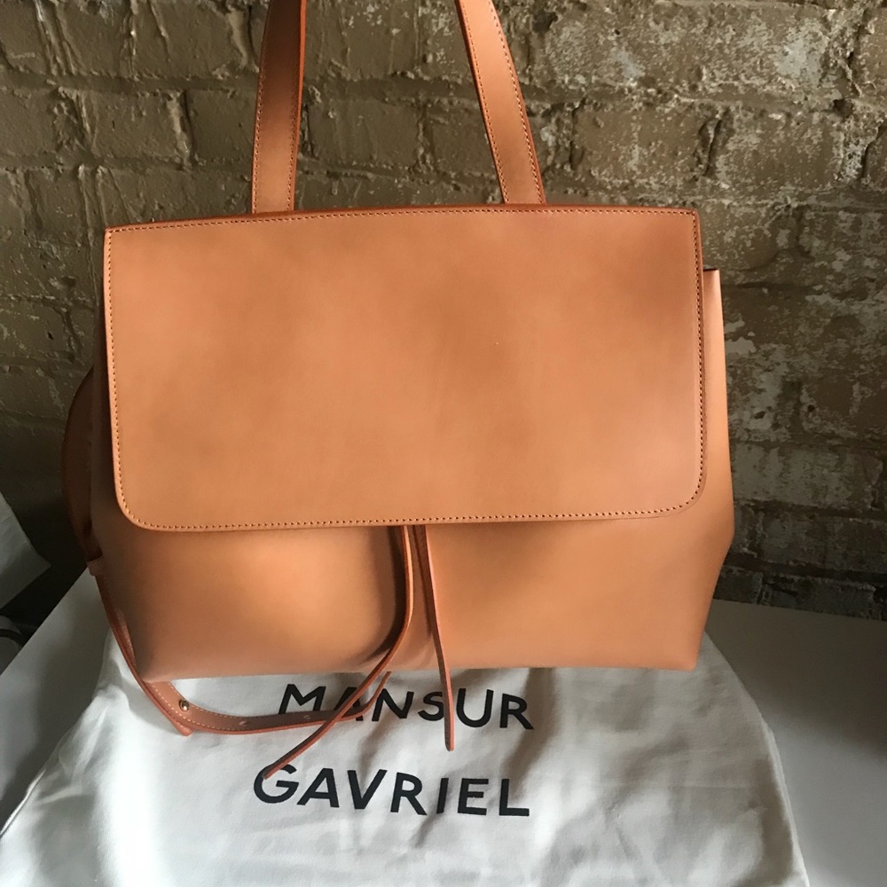 MANSUR GAVRIEL NWT LADYBAG IN 🐪  💅🏼